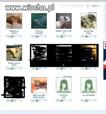 Nasza klasa - portal dla zwierzaków z klasą...