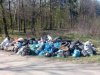 Las, świeże powietrze + śmieci