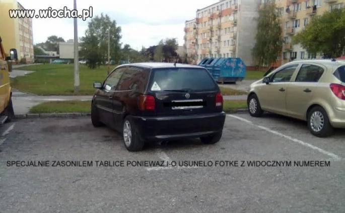 Bardzo pomysłowy kierowca