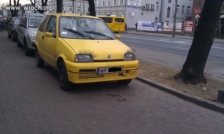 Wiocha i tyle w temacie