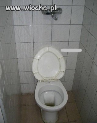 Nowy rodzaj 