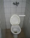 Nowy rodzaj 