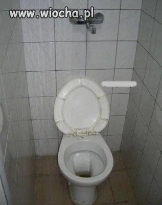 Nowy rodzaj 