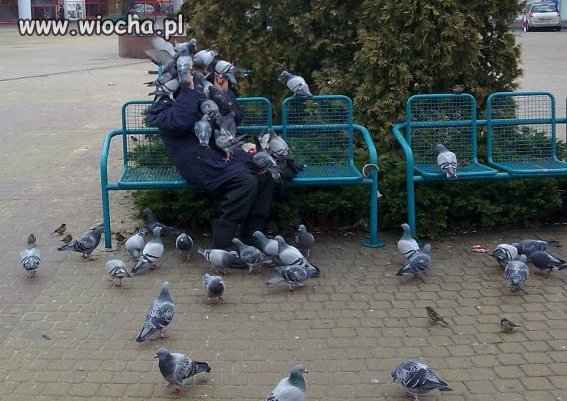 Przypadkiem uchwycone...