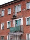 Ciekawe czy po % też wychodzi na balkon.