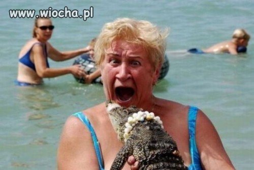 Wakacyjna przygoda