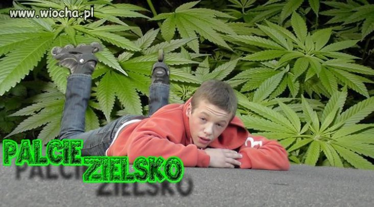 Zielsko