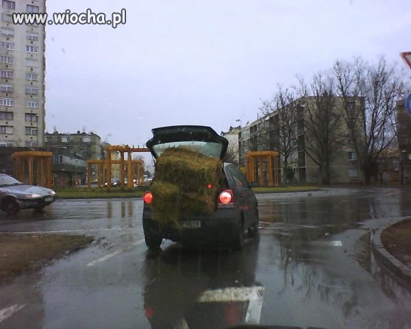 Transport snopków...