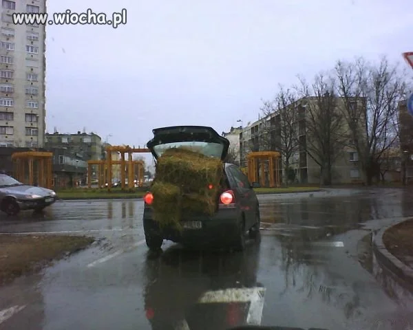 Transport snopków...
