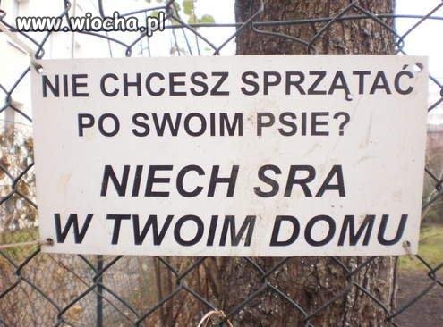 Polska szczerość