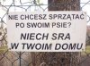 Polska szczerość