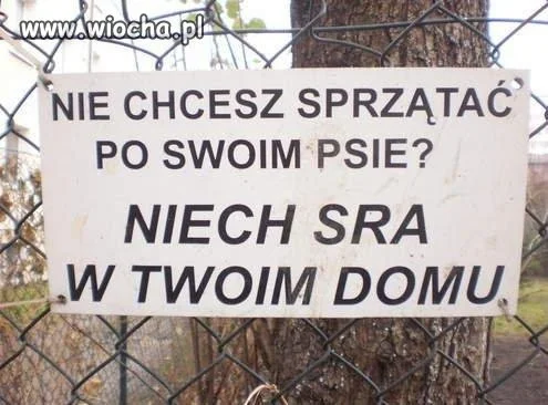 Polska szczerość