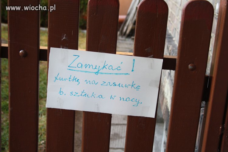 Polak potrafi pisać 