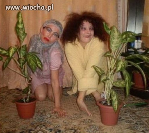 Sesja zdjęciowa