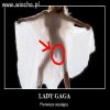 Czyżby Lady Gaga była chłopakiem
