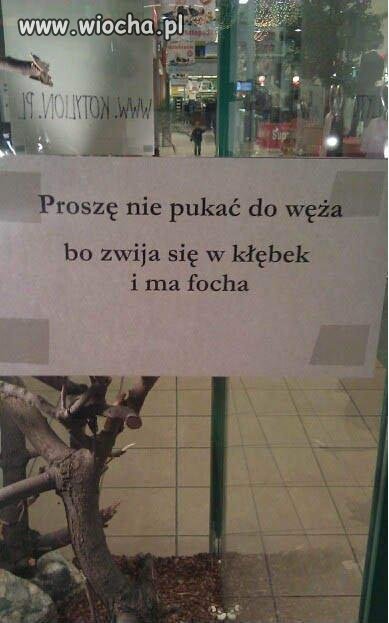 Lepiej nie pukać