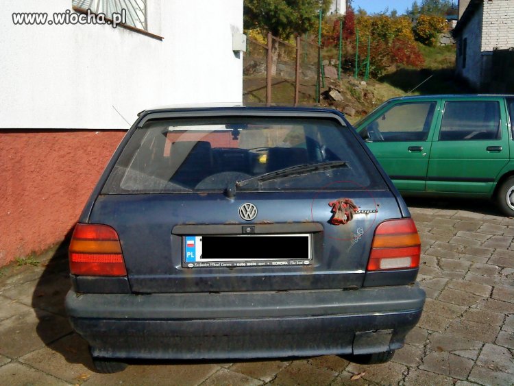 Rękawiczki