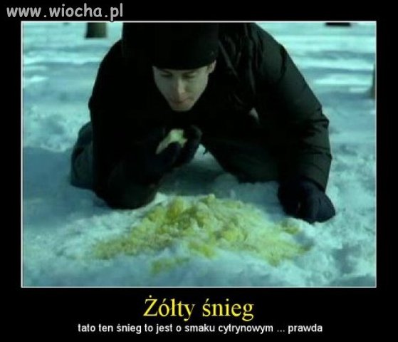 Nie jedz żółtego śniegu 