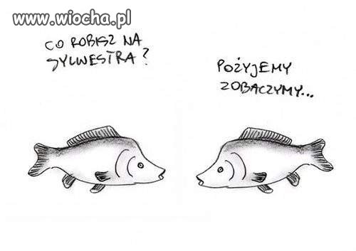 Plany na przyszłość