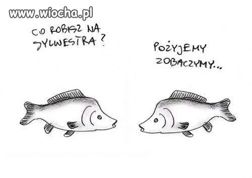 Plany na przyszłość