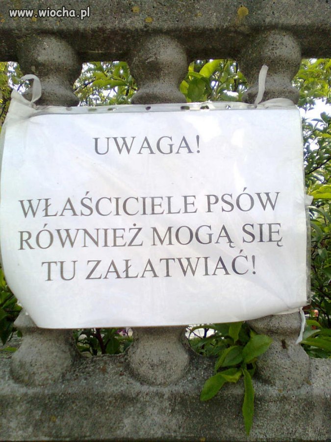 Właściciele psów dziękują za pozwolenie...