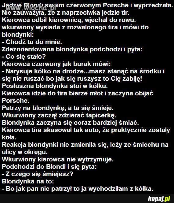 Głupota ludzka 