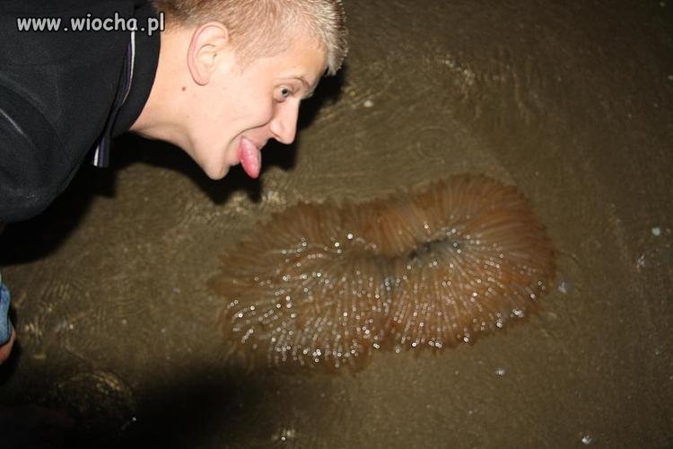 WTF?