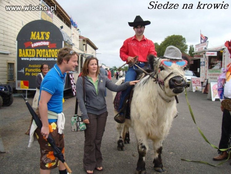 Siedzę na krowie hahaha
