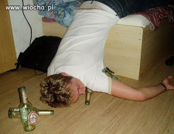 Orzeł