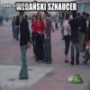 Wegański sznaucer.