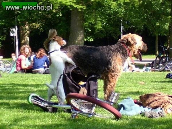 Czasami mały może więcej