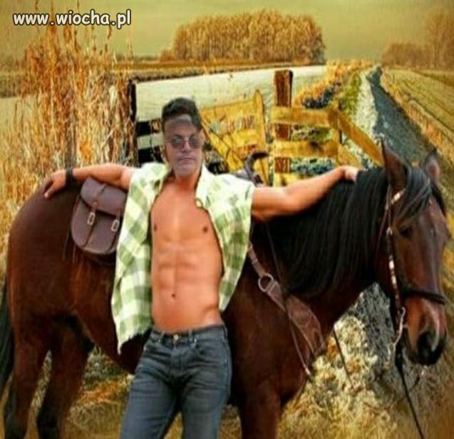Ale Macho 