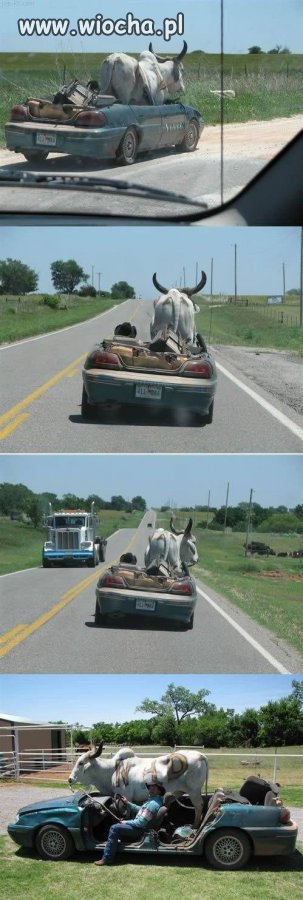 Transport