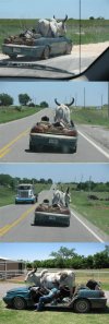 Transport