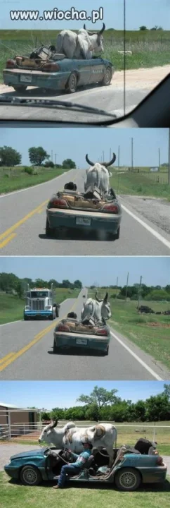 Transport
