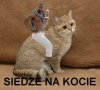 I pachnę jak facet