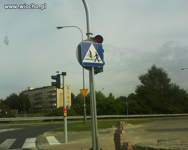 Niektórzy nie posiadają mózgu 