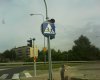 Niektórzy nie posiadają mózgu 