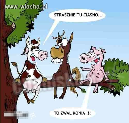 AHAHHA JAK TO ZOBACZYŁEM TO PŁAKAŁEM ZE ŚMIECHU
