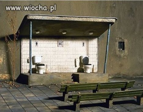Słowa: Toaleta Publiczna