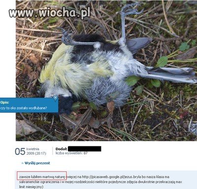 Czasami wstydzę się swoich kolegów