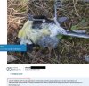 Czasami wstydzę się swoich kolegów