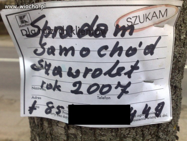 Nowa Marka Samochodu