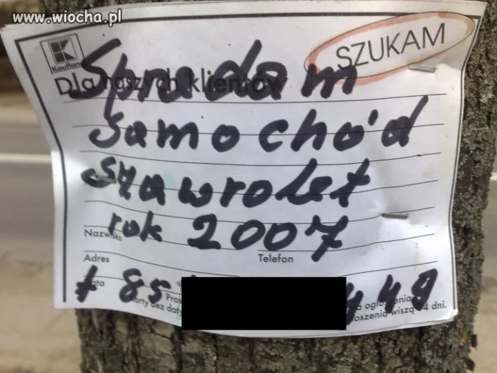 Nowa Marka Samochodu