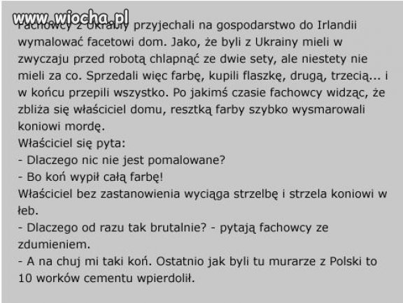 Irlandzki Koń