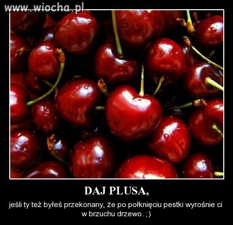 Widzę, że to już jakaś choroba...
