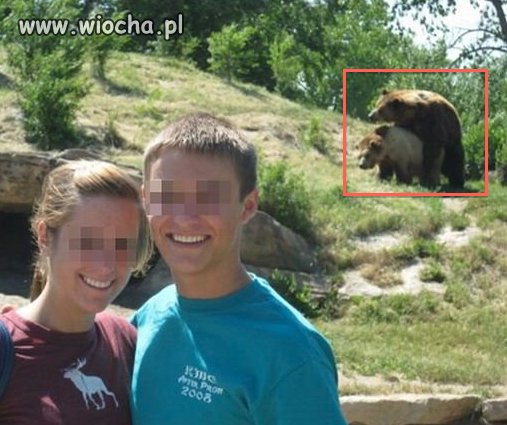 Pamiątka z wakacji