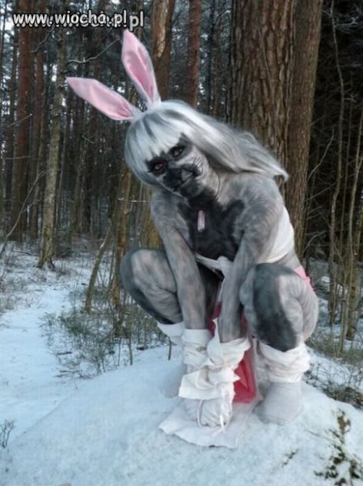 Króliczek!!