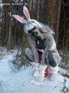 Króliczek!!