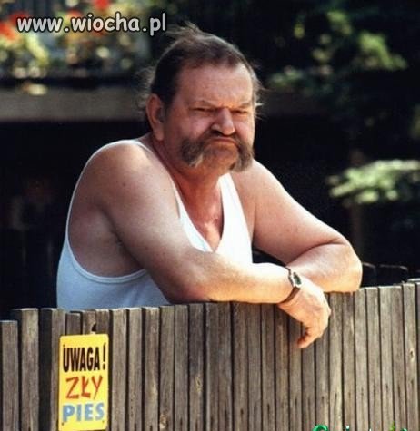 Zły buldog